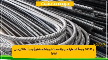 بـ 36371 جنيهاً.. أسعار الحديد والأسمنت اليوم تشهد تطوراً جديداً ما تأثيره على البناء؟ 1